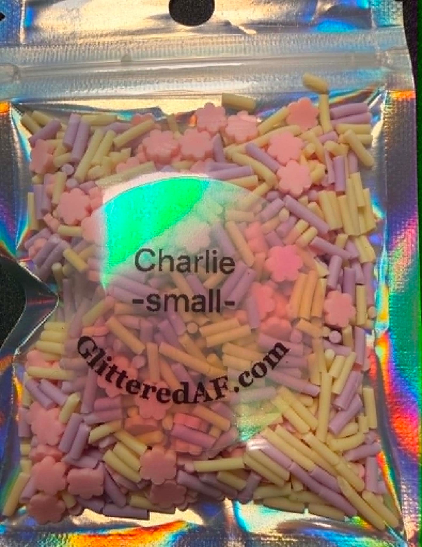 Charlie - Small