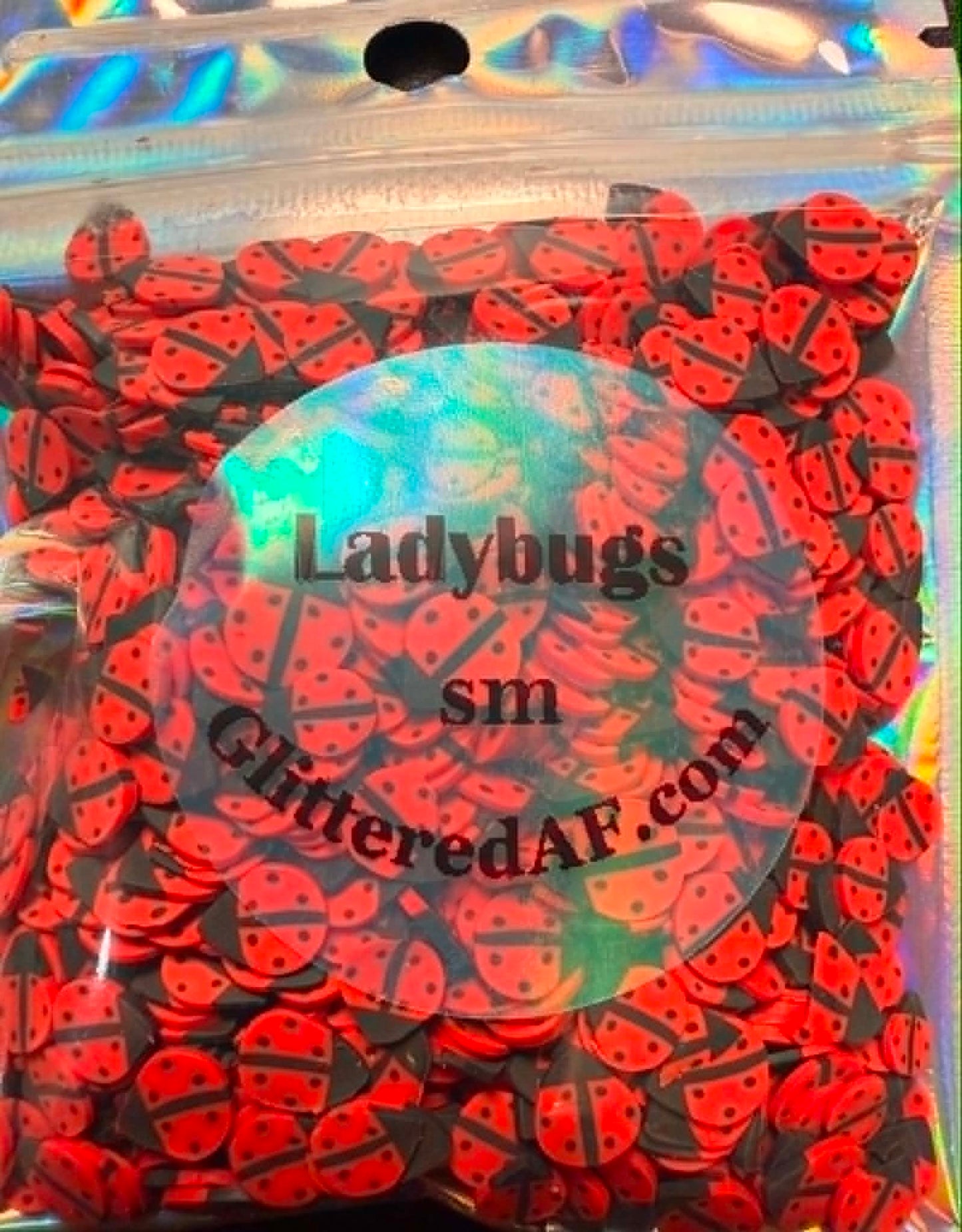 Ladybugs - Small