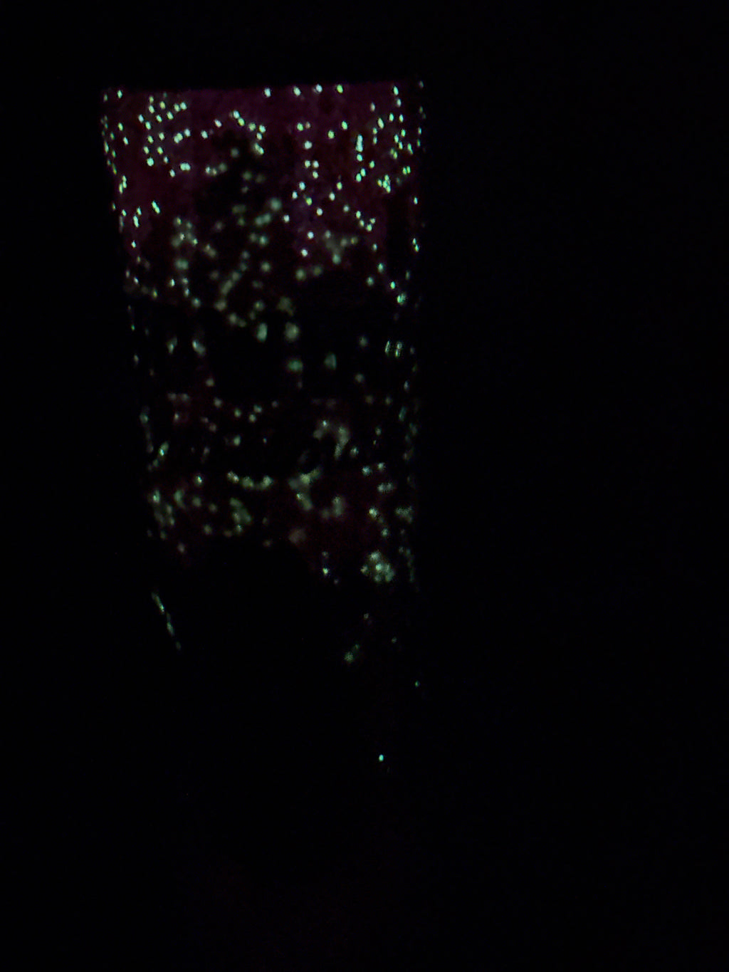 #21 30 oz tumbler glow howdy Christmas