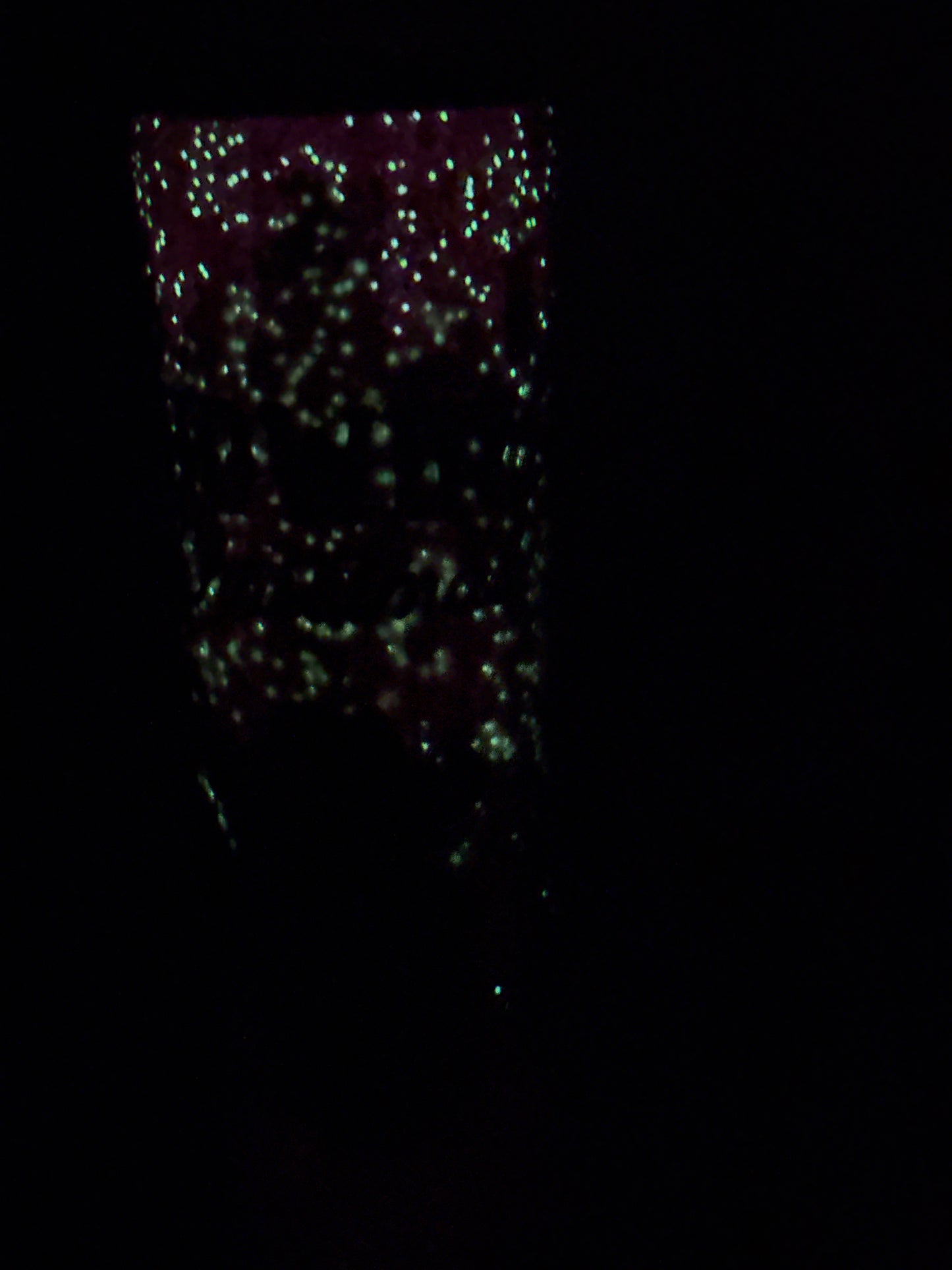 #21 30 oz tumbler glow howdy Christmas