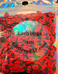 Ladybugs - Small