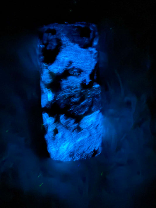 12 oz Koozie - GLOWS